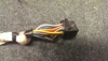 Imag2622_thumb