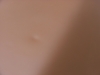 Dscf7575_thumb