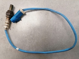 Img_20221123_145727_main