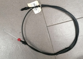 Img_20240521_150531_main