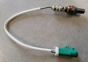 Img_20250512_095708_main