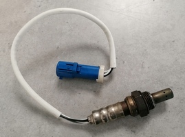 Img_20251124_114203_main